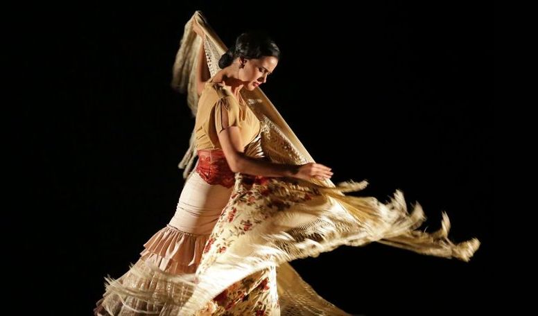 Clase Particular de Danza Española