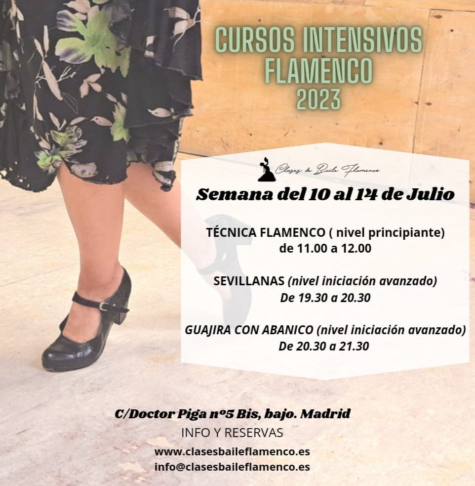 cursos intensivos de flamenco en Madrid clases Flamenco Danza Española