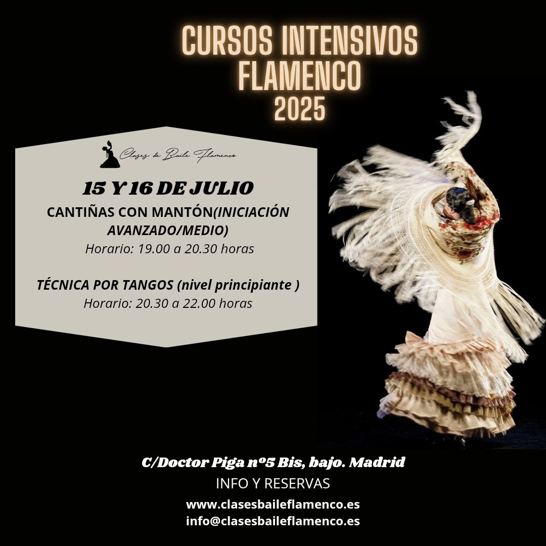 cursos intensivos de flamenco en Madrid clases Flamenco Danza Española