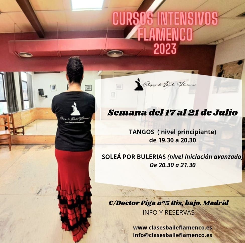 cursos intensivos de flamenco en Madrid clases Flamenco Danza Española