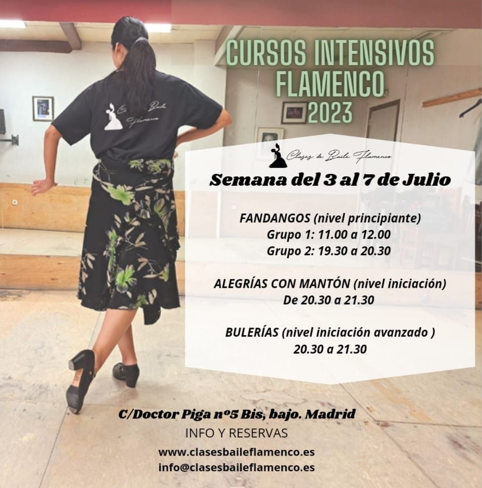 cursos intensivos de flamenco en Madrid clases Flamenco Danza Española