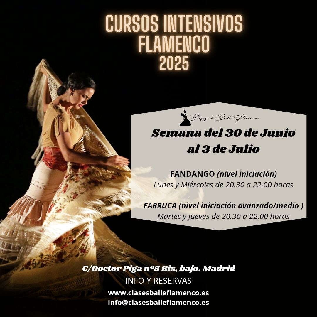 cursos intensivos de flamenco en Madrid clases Flamenco Danza Española