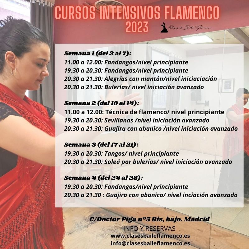 cursos intensivos de flamenco en Madrid clases Flamenco Danza Española