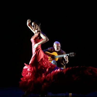 carolina pozuelo clases baile flamenco madrid